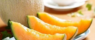 8 Myths and Facts About Melon You Should Know