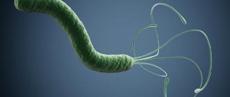 Tests for Helicobacter pylori. Which is the most effective? 