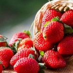 Due to its properties, strawberries are considered not only a valuable product, but also a medicine that has a beneficial effect on the entire human body.