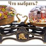 Что выбрать: лекарства или фитотерапию?