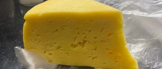 Cheese for gastritis affects stomach acidity