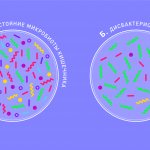 Intestinal dysbiosis: symptoms, causes, state of microbiota