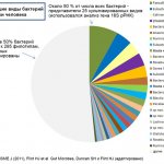 Dominant species of colon bacteria. Obtained using 16S rRNA gene analysis 