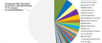 Dominant species of colon bacteria. Obtained using 16S rRNA gene analysis 