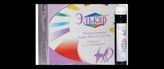 Elkar - a drug based on L-carnitine