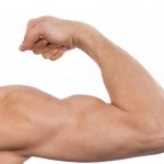 Фасоль содержит белок, который помогает построить сильные мышцы