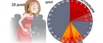 Normal phases of the menstrual cycle