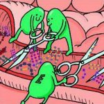 fat breaking down enzyme