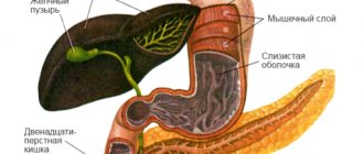 bowel functions