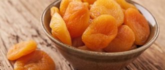 Курага при панкреатите включается в состав лечебной диеты, потому что этот продукт, получаемый из высушенных абрикосов, сохраняет большую часть полезных веществ