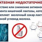 Лактазная недостаточность