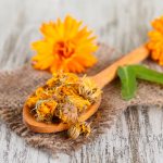 treatment of pancreatitis with calendula