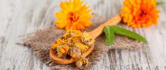 treatment of pancreatitis with calendula