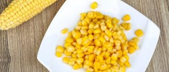Можно ли есть вареную кукурузу при панкреатите: аргументы за и против и правила употребления