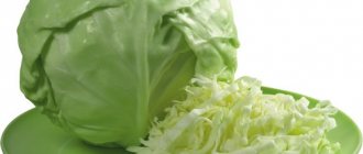 Shredded cabbage