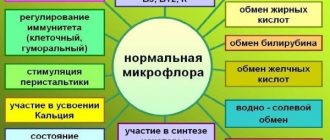 Нормальная микрофлора человека включает в себя огромное количество бактерий. Они не только не наносят вреда человеческому организму, но и выполняют ряд важных функций.