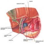 Retroperitoneal tumor