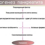 Pathogenesis of pancreatitis