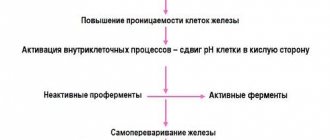 Pathogenesis of pancreatitis