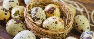 Quail eggs are also recommended to be included in the diet.