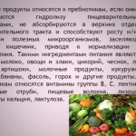 Пищевые продукты относящиеся к пребиоткам