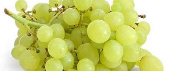 why can&#39;t you eat grapes at night?