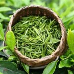 Why does green tea make you sick?