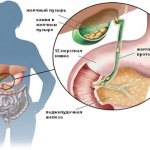 Pancreas and gallbladder