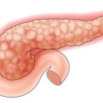 pancreas