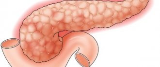 pancreas