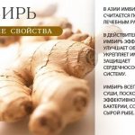 Useful properties of ginger