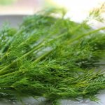 The benefits of dill