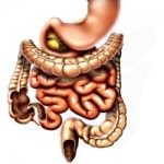 Causes and symptoms of chronic enterocolitis