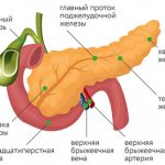 Pancreas cancer