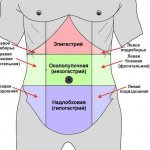 Location of the epigastric region