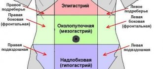 Location of the epigastric region