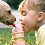 Ребенок и собака едят мороженное