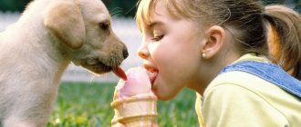 Child and dog eating ice cream