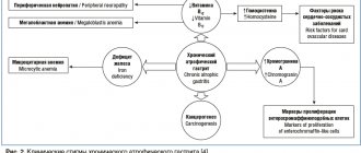 Rice. 2. Clinical stigmas of chronic atrophic gastritis [4] 2. Clinical stigmas of chronic atrophic gastritis [4] 