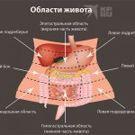 Diagram of the abdominal areas. Photo: KP.RU 