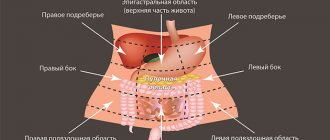 Diagram of the abdominal areas. Photo: KP.RU 