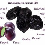 Composition of prunes