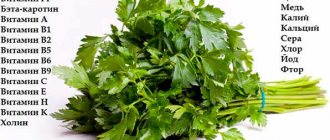 composition of parsley