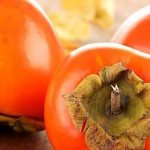 Eating persimmons for pancreatitis: restrictions and permitted portions