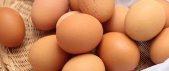 Вареные яйца помогают восстановить ЖКТ после рвоты.