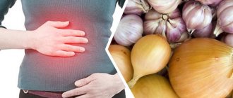 The effect of onions on the walls of the stomach: why pain occurs after consumption