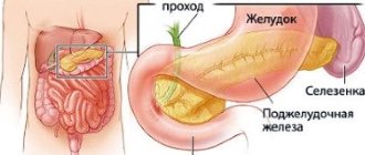 It is forbidden to eat any food that increases the production of enzymes designed to break down food.