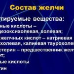 Желчь практически на 70% образована из кислот, что делает ее опасной для слизистой желудка