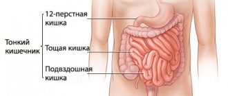 gastrointestinal tract